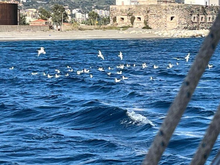 Voyage photo from Settimana rubata ( giorno 2)