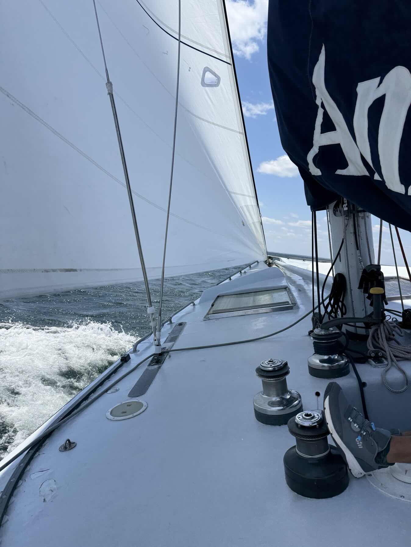 America II US 42 Sail Newport - NYC Harbor - Day 1_B4136942-FFD6-4C53-A05A-52BF86AA7591