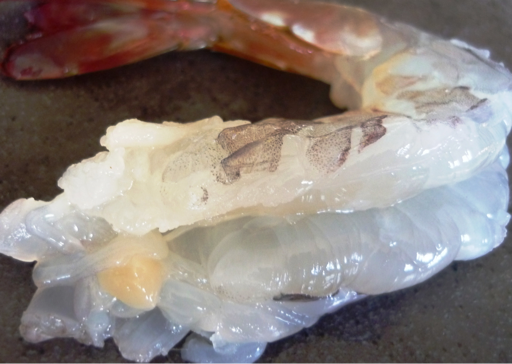 はまかぜ通信～金栄丸 紹介画像2