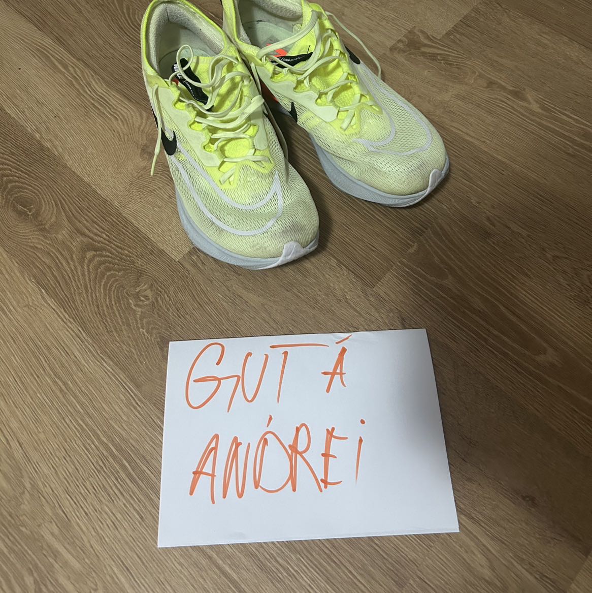 Zoom Fly 4