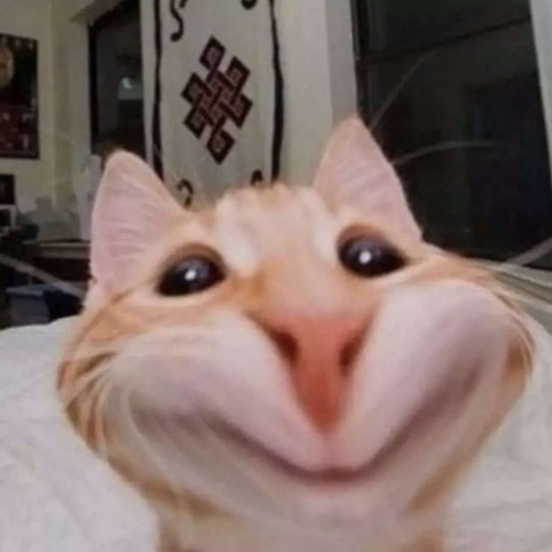 EvilinaBobina's avatar