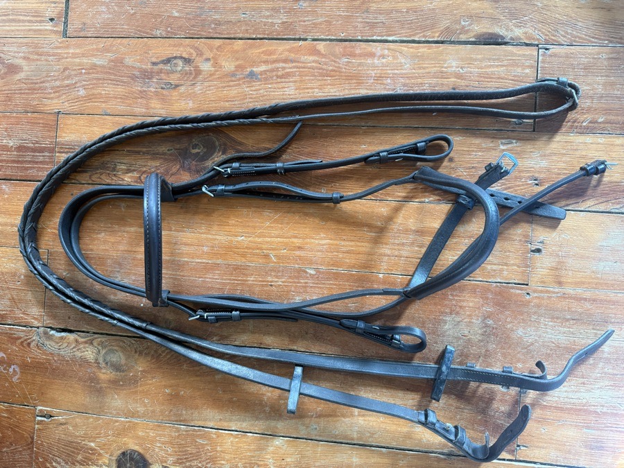 Cob bridle and reins
