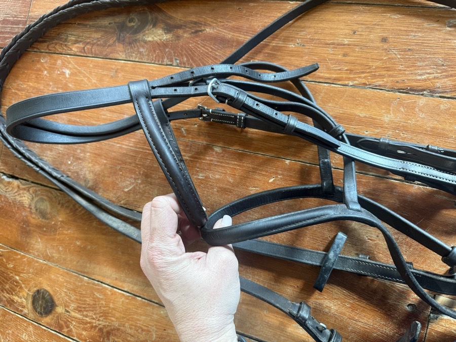 Cob bridle and reins