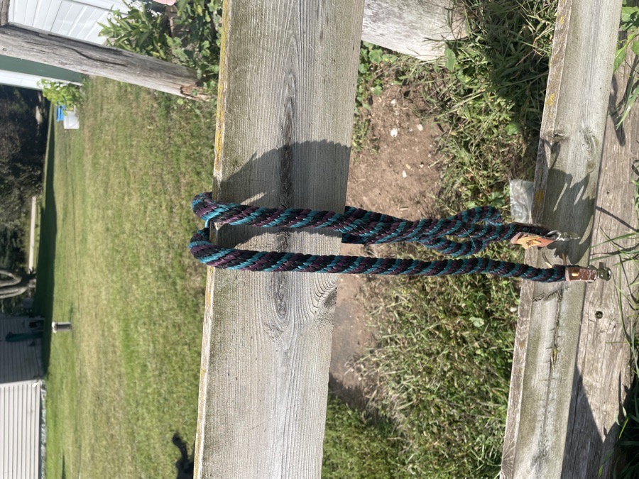 Loop reins with scissor snaps