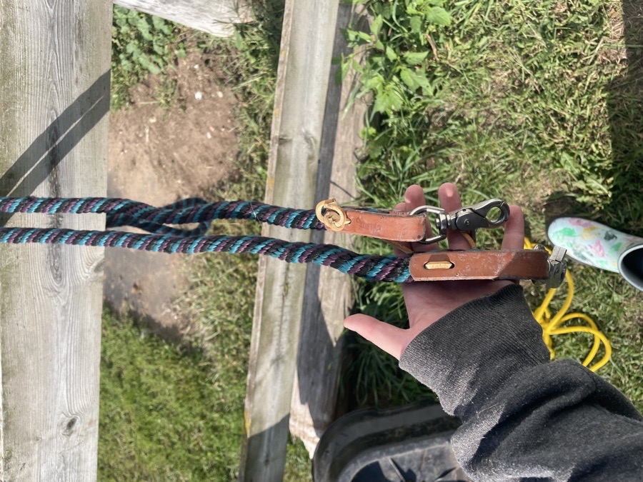 Loop reins with scissor snaps