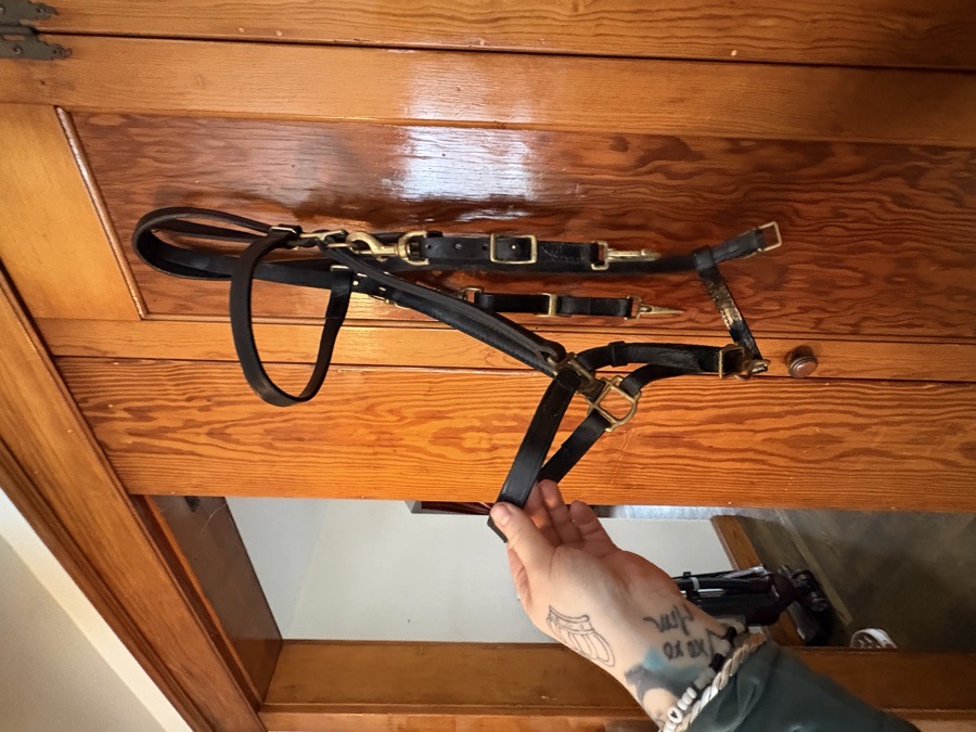 Leather Halter/Bridle Combo by Tory Leather