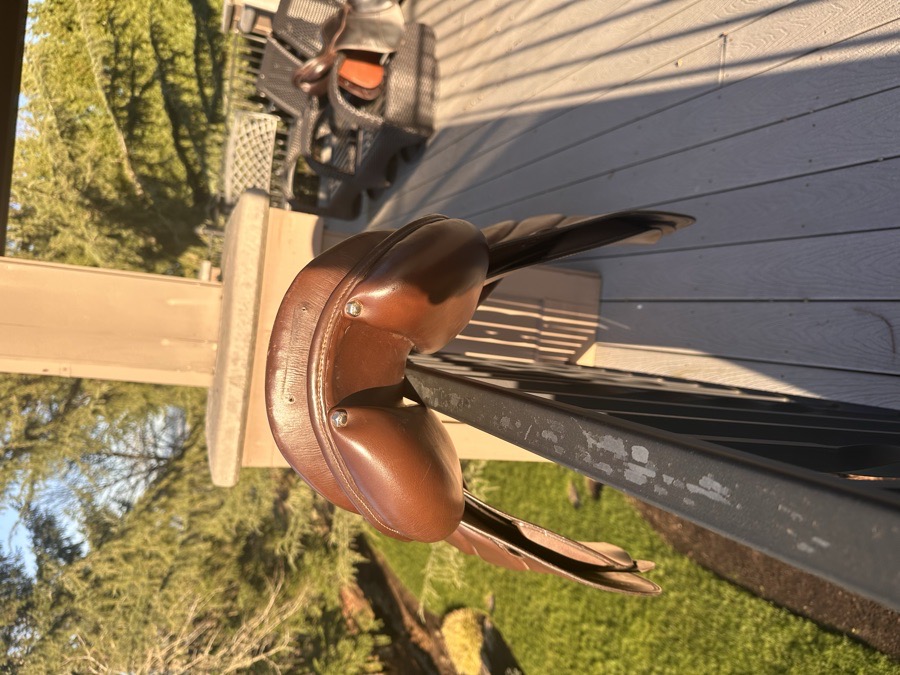 17.5 Stubben Portos 32 Tree