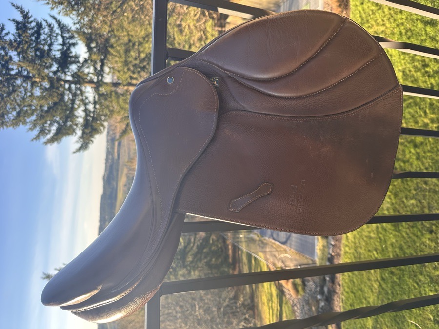 17.5 Stubben Portos 32 Tree