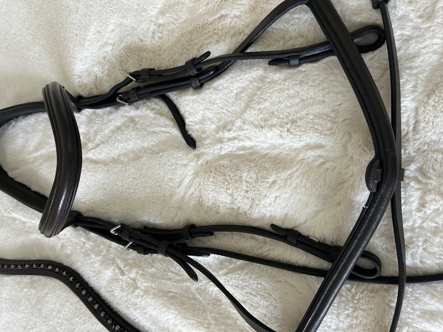 Eponia Bridle and Browband