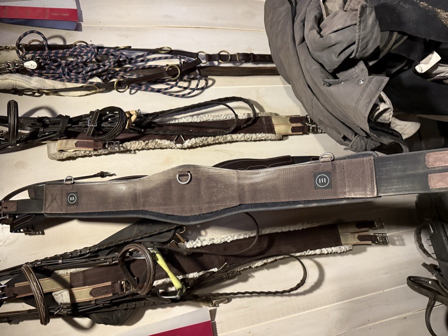 Equifit 46” Schooling Girth