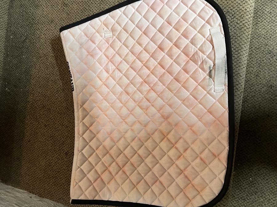 Centaur white saddle pad