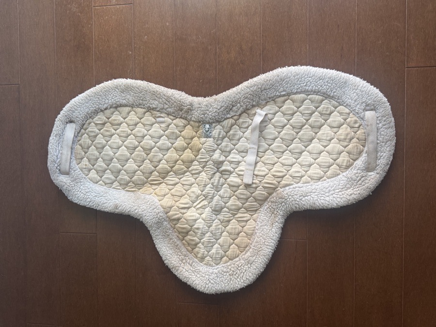 Wilkers Show Pad 16.5”