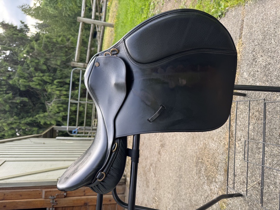 Collegiate AP Saddle 17”