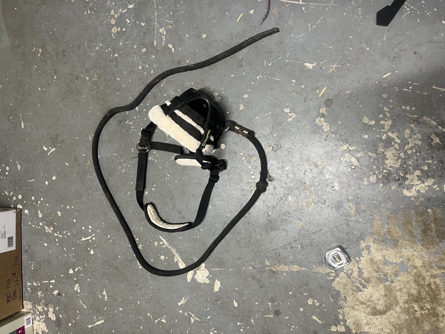 Shies FreeGraze Padded Pony Grazing Muzzle and Lead Rope