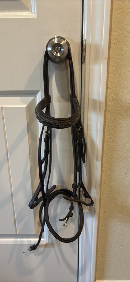Dark brown bridle