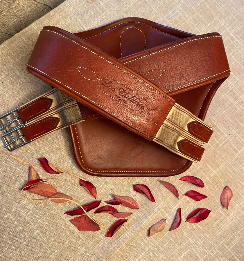 Luc Childeric 54” Belly Girth