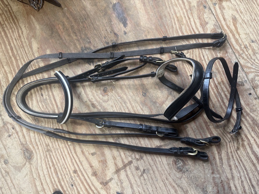 Kieffer flash bridle with matching reins