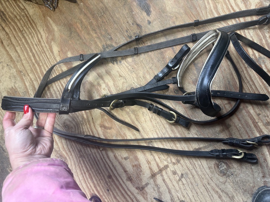 Kieffer flash bridle with matching reins