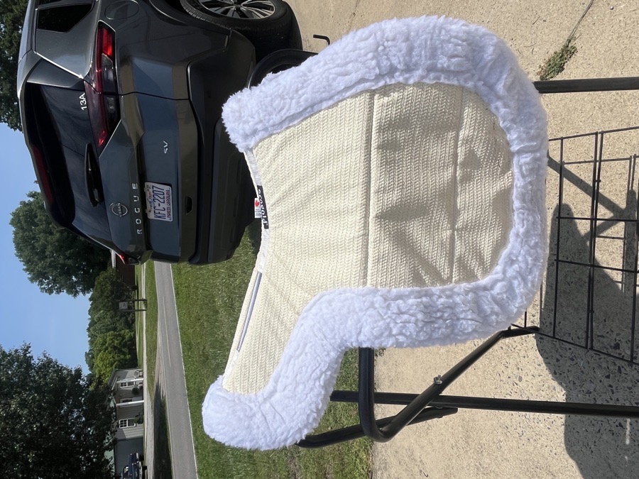 Ecogold Hunter Show Pad