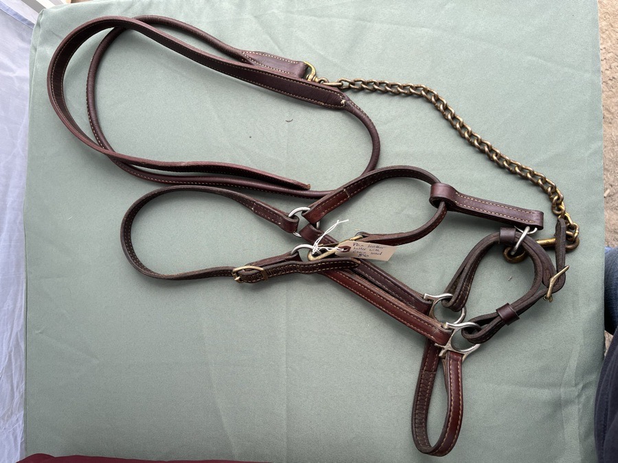 Leather Halter with Chain Lead
