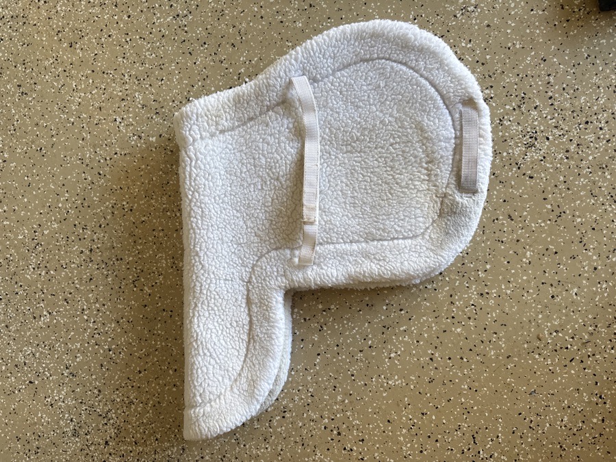 Toklat wool show pad