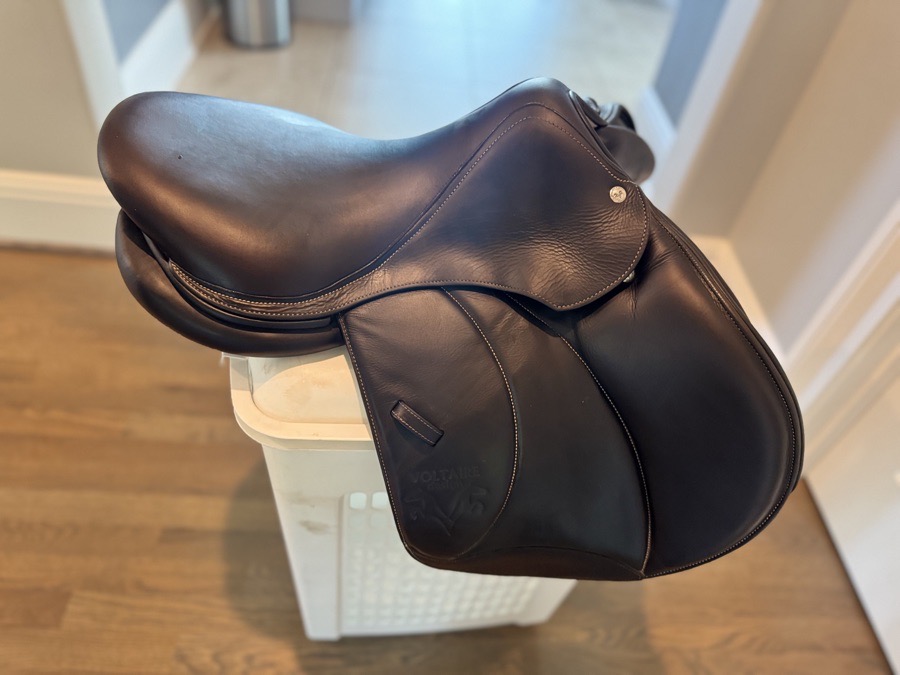 16.5" Voltaire Palm Beach Saddle - Full Buffalo - 2020