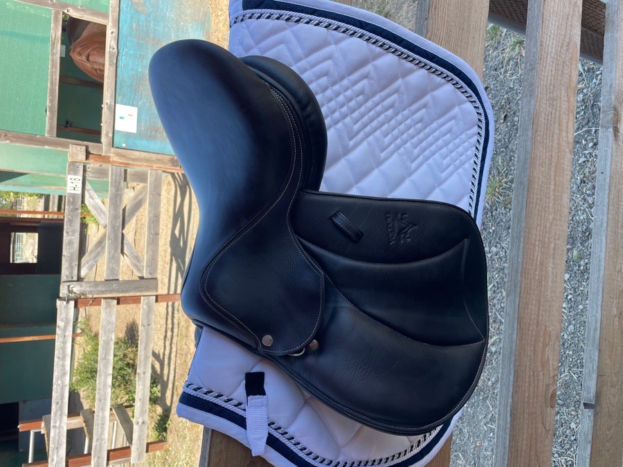 2023 Voltaire Welli 15” for sale