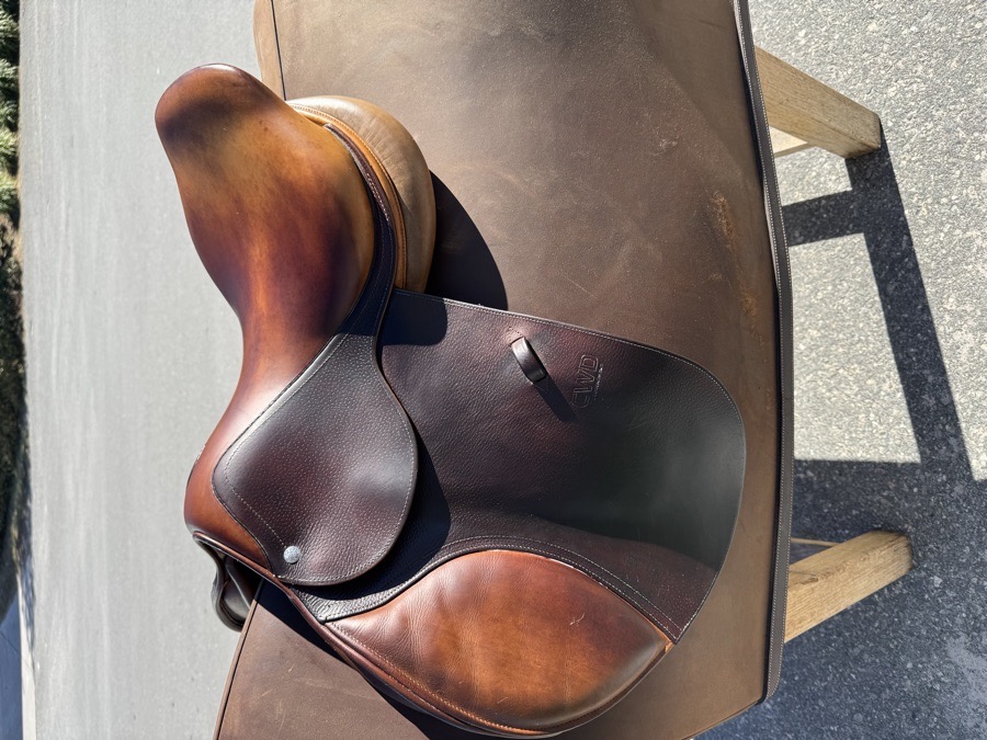 CWD saddle