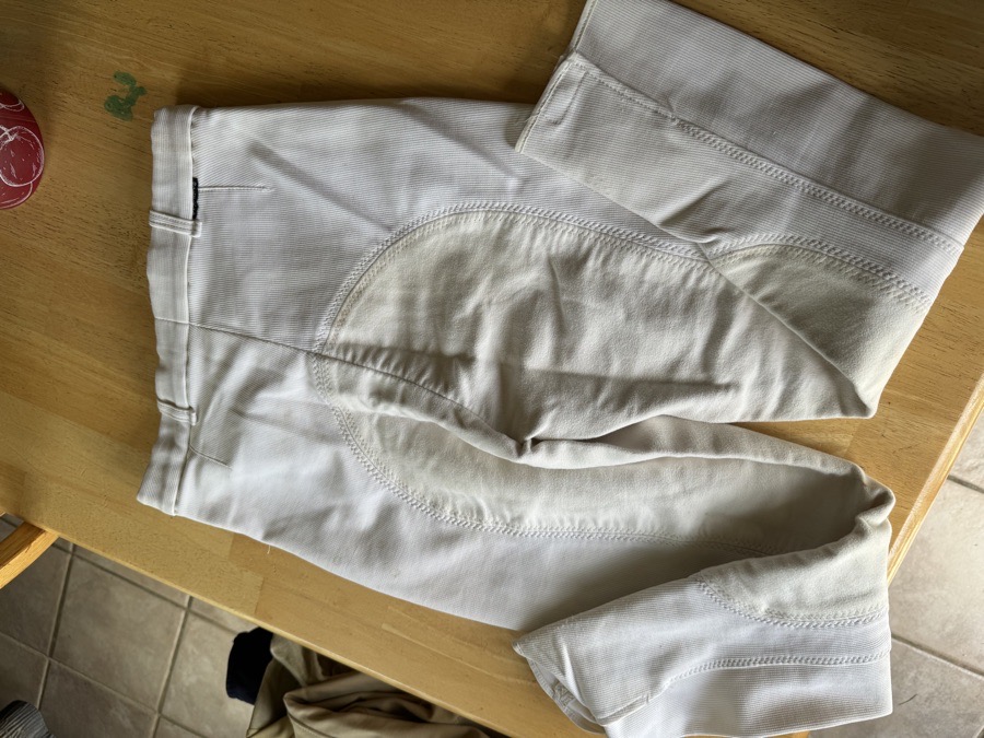 gorringe riding breeches