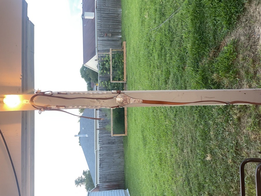 royal king brest collar