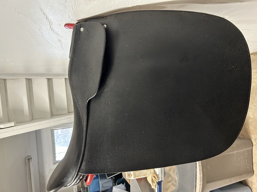 Argentina English Saddle