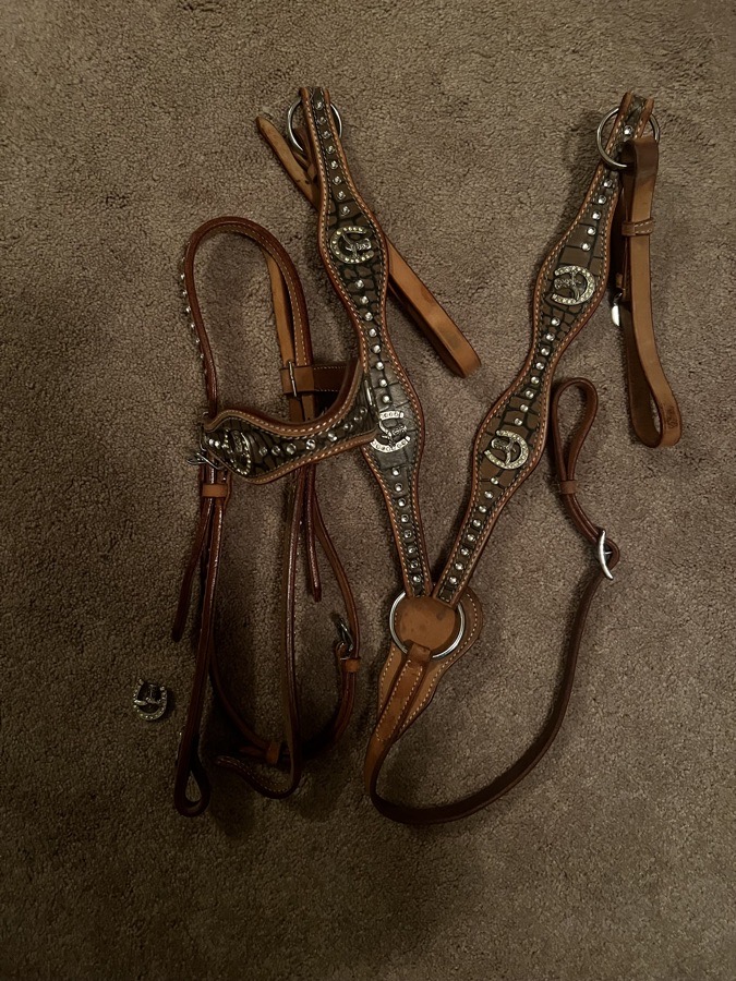 Bridle and Breastplate set