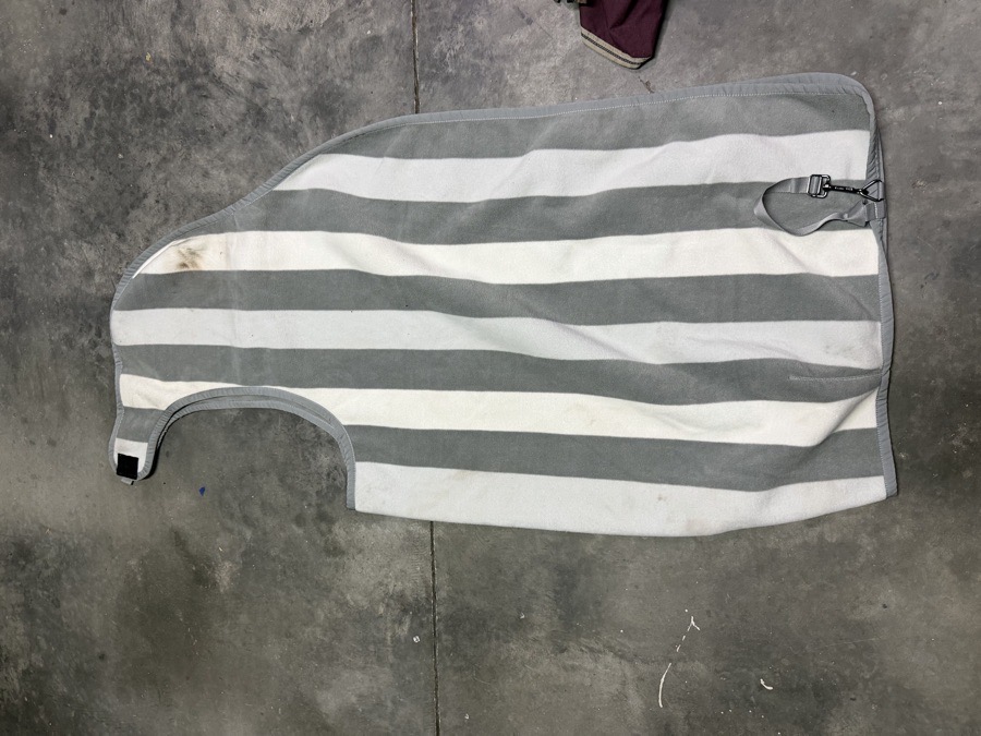 Kentucky Quarter Sheet