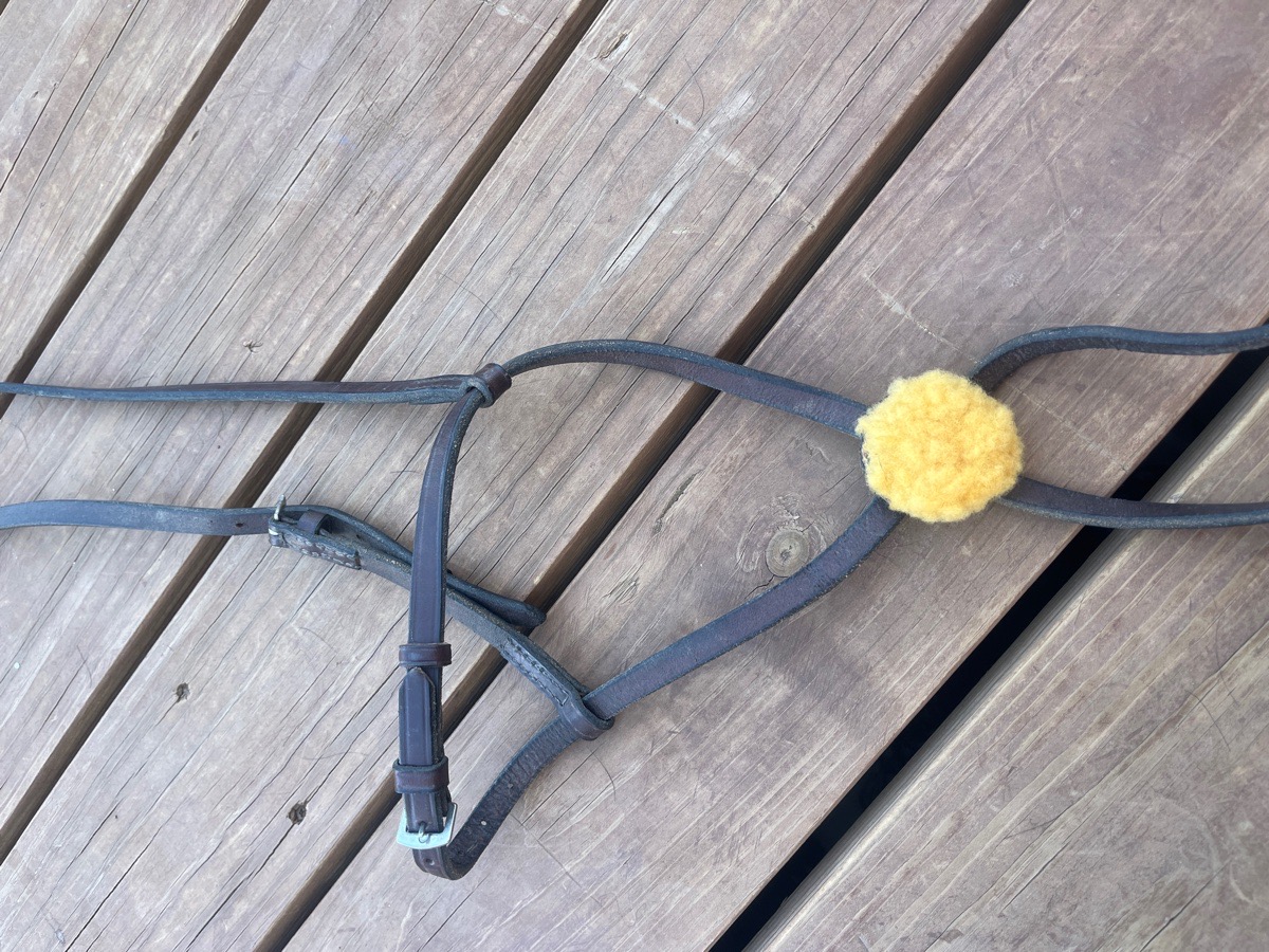 Tory figure 8 noseband