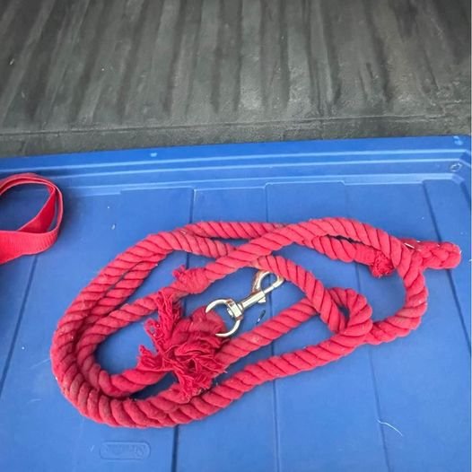 Cotton Lead Rope