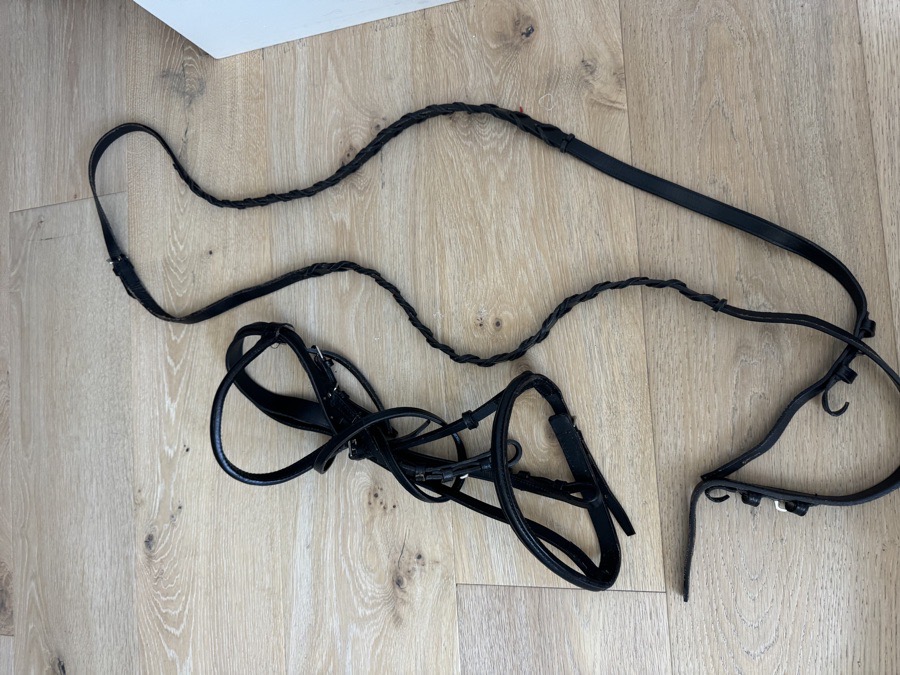 Black Bridle