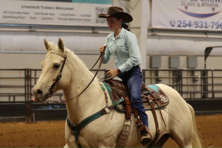 Dark Teal breastcollar
