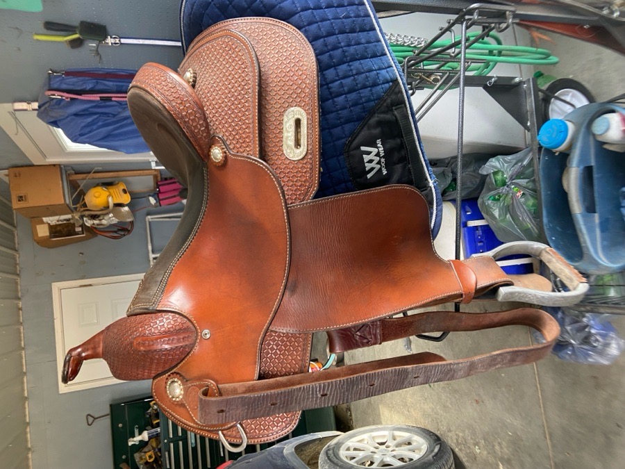 Silver Supreme reining