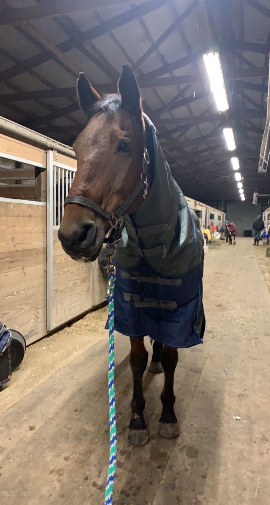 Northwind Heavyweight 78”