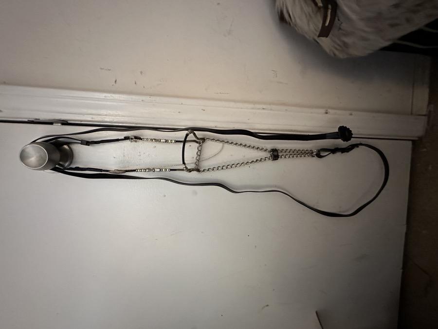 Carriage House Tiffany Series Mini Show Halters