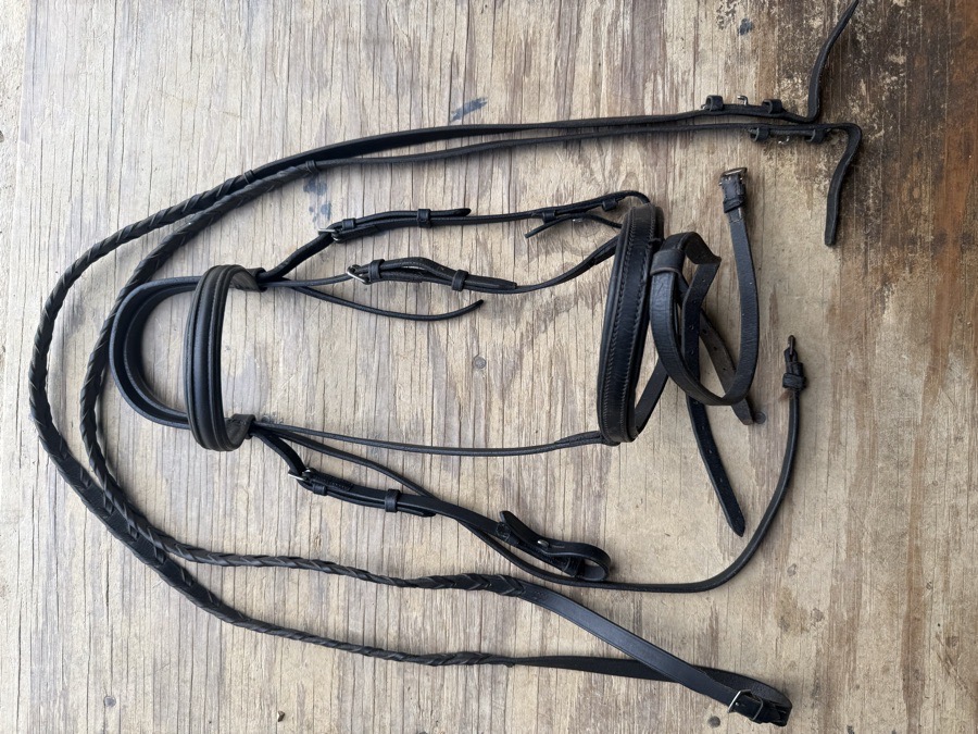Black cob flash bridle