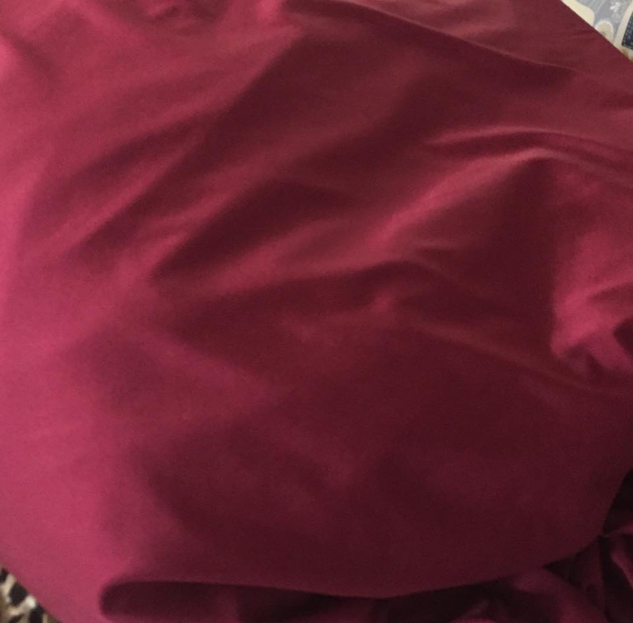 Solid Maroon Horse Hood Sleazy