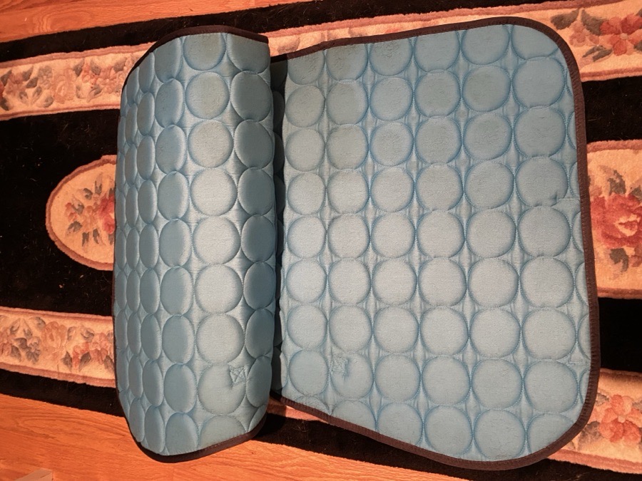 Blue A/P English Saddle Pad
