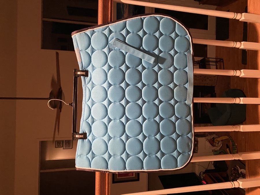 Blue A/P English Saddle Pad