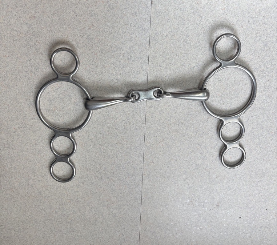 4-Ring Hollow Mouth French Link Gag bit