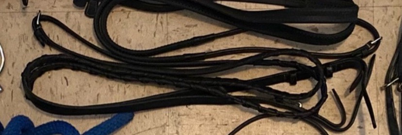 Laced Reins