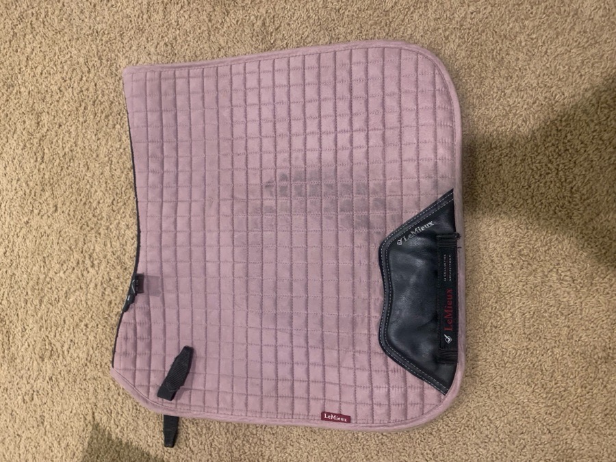 Lemieux Musk Dressage Pad
