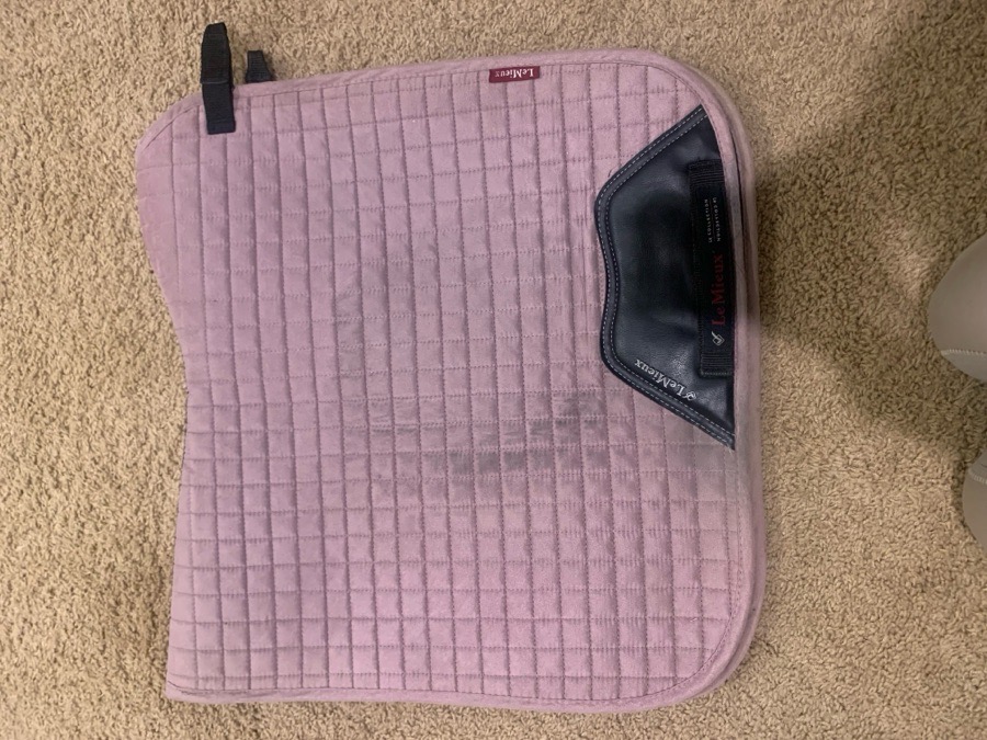 Lemieux Musk Dressage Pad