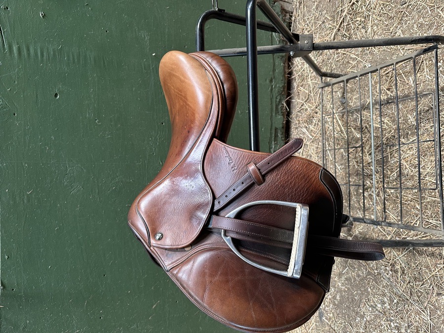 16.5” M. Toulouse Close Contact