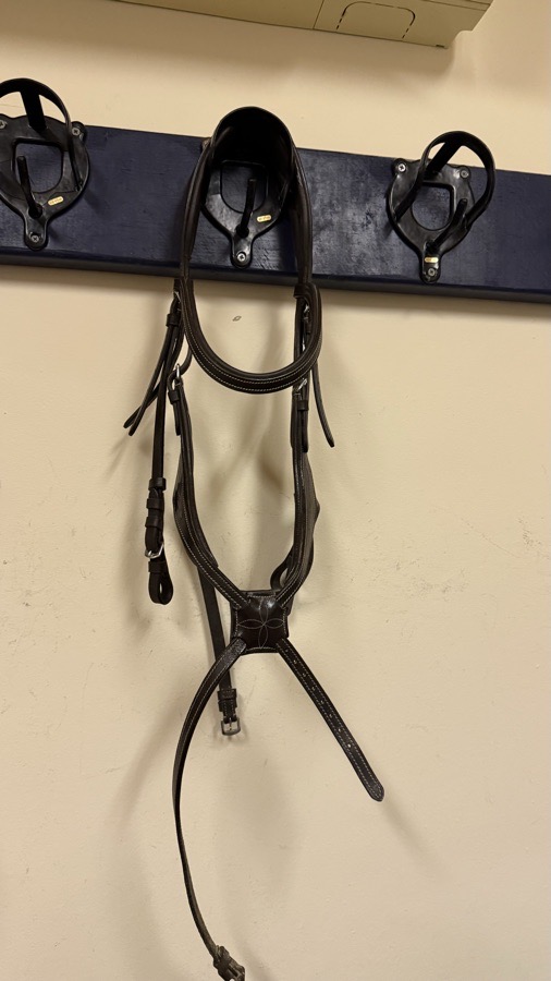 Amor Equestiran figure eight cob bridle